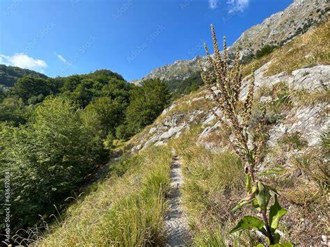 Sentiero CAI 606 con vegetazione alpina e rocce