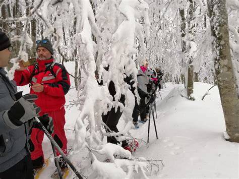 Coppia di escursionisti che camminano con le ciaspole in una foresta innevata.