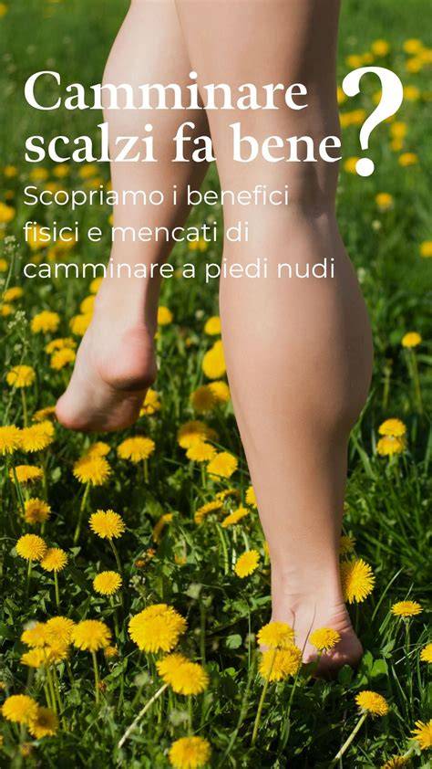 Infografica che illustra i benefici fisici e mentali delle ciaspolate.
