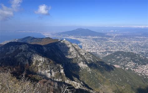 Dettaglio di una delle specie floreali rare presenti sul Monte Faito