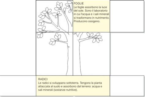 Schema di una ciaspola con indicazione delle sue parti principali: superficie, profilo, punta (rampone), attacco e alzatacco.