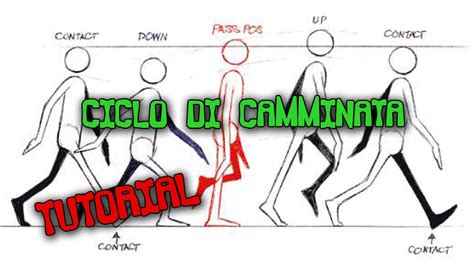 Schema del meccanismo di camminata e blocco dello scarpone