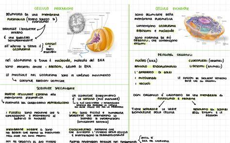 Schema che illustra le differenze tra scarponi ramponabili e non ramponabili, evidenziando la presenza o assenza di tacche sul tallone.