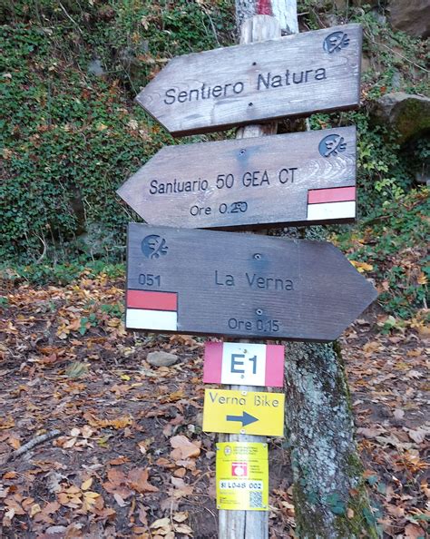 schema che illustra i diversi livelli di difficoltà dei sentieri escursionistici, da T a EE