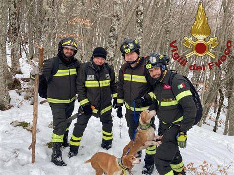 Foto dei due cani, Lilah e Cash, bloccati su uno strapiombo innevato