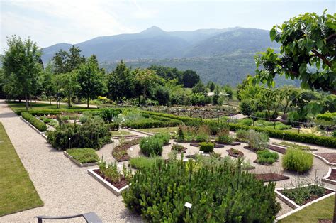 l'Orto Botanico del Monte Baldo con diverse specie di piante
