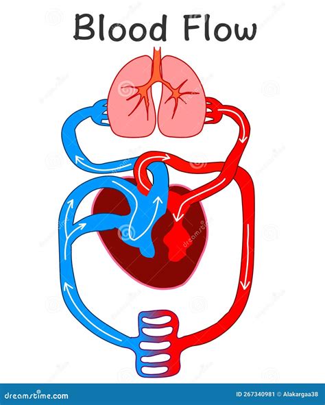 Illustrazione che mostra l'impatto negativo di indossare più paia di calze (flusso sanguigno limitato, vesciche)