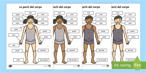 Infografica che illustra le parti del corpo più colpite dagli infortuni sciistici