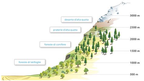 Grafico che illustra l'altezza della neve in quota e a valle ad Alleghe