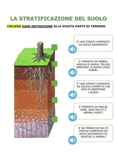 Illustrazione che mostra il concetto di stratificazione nell'abbigliamento da snowboard: base layer, mid layer, shell layer.