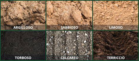 Infografica che illustra i diversi tipi di terreno di montagna e le calzature consigliate per ciascuno.