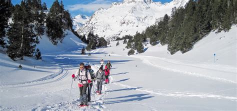 Panoramica di diverse attività invernali: ciaspolata, sci, snowboard