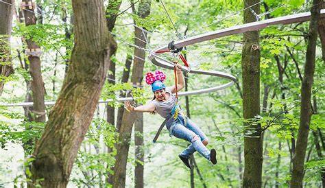 Immagine della Roller Coaster Zipline Meriz con persone in volo tra gli alberi