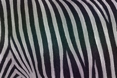 Primo piano del pattern zebrato della giacca, mostrando la texture del tessuto e la combinazione con la tinta unita.