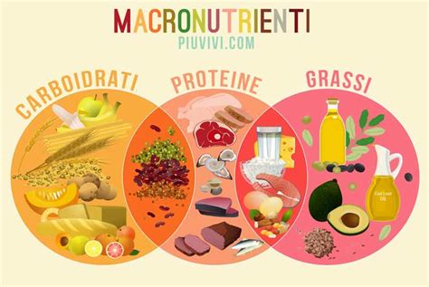 infografica con la ripartizione dei macronutrienti per un'escursione in montagna (carboidrati, proteine, grassi)