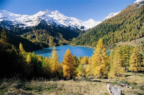 Immagine di animali selvatici nel Parco Nazionale dello Stelvio, a sottolineare la naturalità dell'ambiente