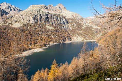 autobus navetta ProntoBus che sale verso l'Alpe Devero