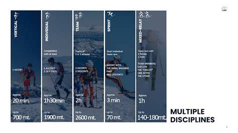 Grafica che mostra le diverse discipline dello snowboard con icone rappresentative