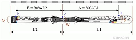 Schema comparativo delle lunghezze e raggi di curvatura degli sci da gigante e slalom per atleti uomini e donne.