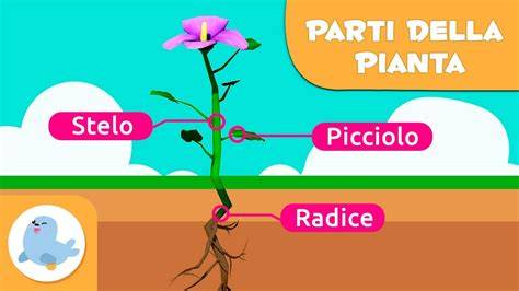 Schema che illustra le diverse parti di una piccozza da ghiaccio e come vengono utilizzate per l'aggancio e l'infissione.