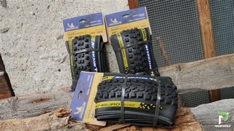 Diverse tipologie di gomme per mountain bike con vari profili e larghezze