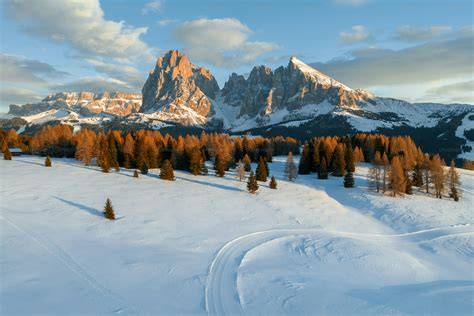 vista panoramica di una località sciistica innevata con piste e alberi coperti di neve