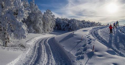 Paesaggio sciistico italiano con piste ben curate e montagne maestose