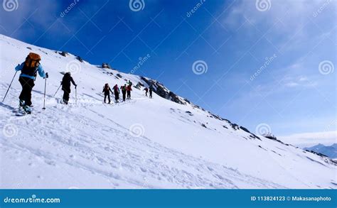 Sciatori che attraversano un bosco innevato