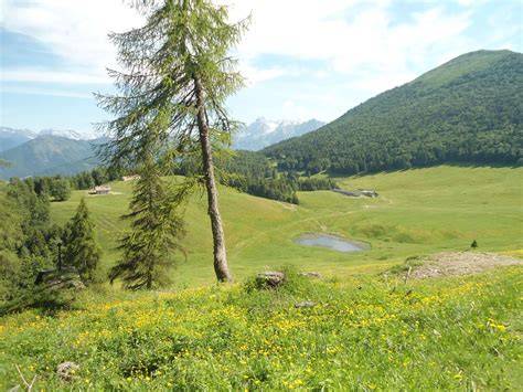 vecchia fotografia di masi tradizionali sull'altopiano della Paganella