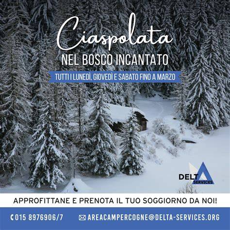 Percorso di ciaspolata tra i larici innevati