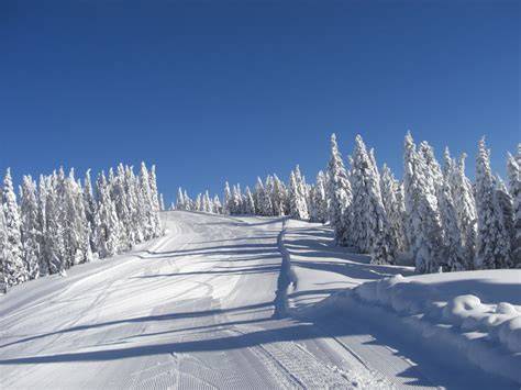 Immagine di piste da sci ben innevate in un comprensorio alpino