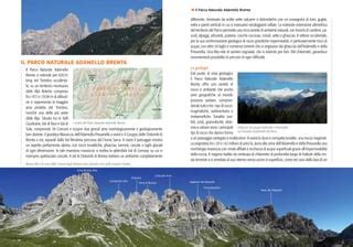 Compressione della Val Gelada con boschi e pareti dolomitiche