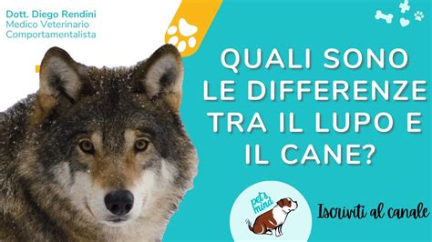 Schema di confronto tra Lupo PRO HD e Lupo T.I.