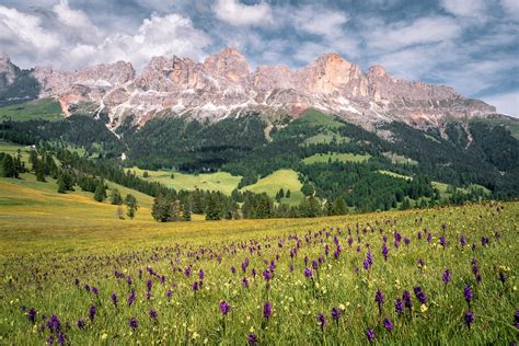 Panorama mozzafiato dal Passo Costalunga con le cime del Catinaccio e del Latemar