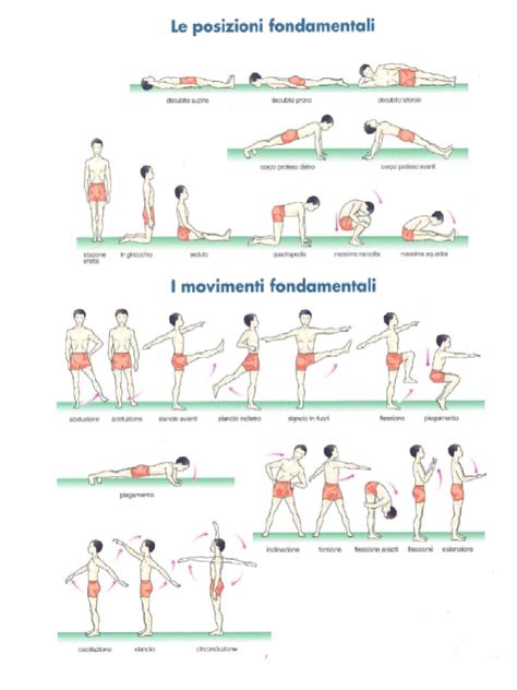 Schema delle diverse posizioni del corpo durante le trottole di pattinaggio artistico