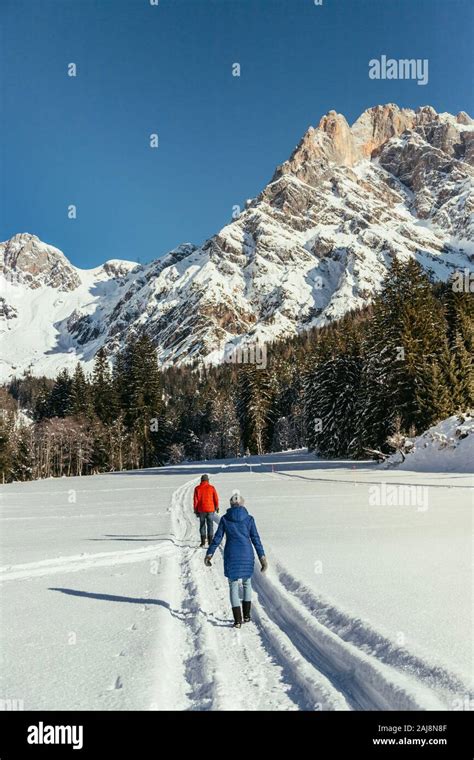 Motoslitta che sfreccia su un sentiero innevato in montagna