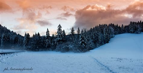 Motoslitta che attraversa un bosco innevato al tramonto