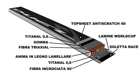 Schema della costruzione a sandwich degli sci con anima in legno e rinforzi in carbonio