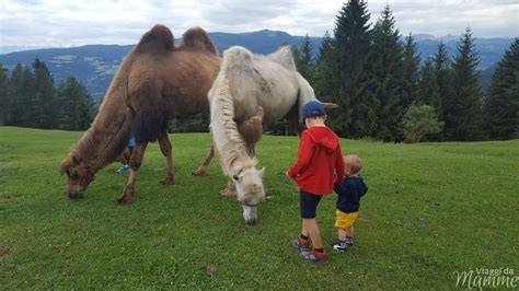Bambini che accarezzano un pony nello zoo di carezze dello Speikboden