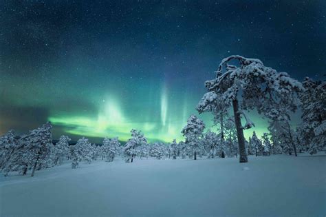 Panorama notturno innevato della Lapponia con possibilità di avvistamento dell'aurora boreale