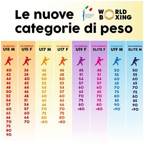 Grafica con le diverse categorie di biglietti e i relativi prezzi per gli impianti di risalita estivi a Plan de Corones.