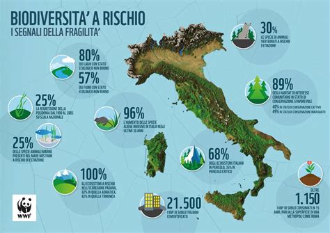 Infografica che illustra i benefici e le aree coperte dalla Mountain Card Pustertal.