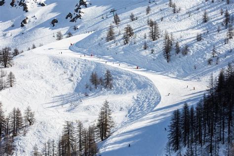 Piste da sci che attraversano una foresta di conifere nel comprensorio di Serre Chevalier