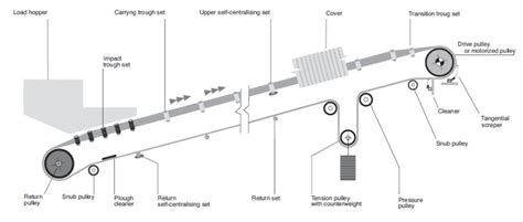 Schema di distribuzione del carico sui rulli di un trasportatore