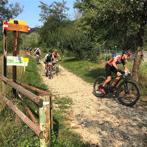 Panoramica di un percorso mountain bike nella Brianza, con sentieri nel bosco e scorci panoramici.