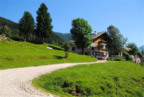 panoramica della malga immersa nel verde e circondata dal bosco
