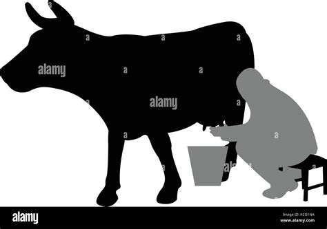 illustrazione di un malghese intento nella mungitura di una mucca