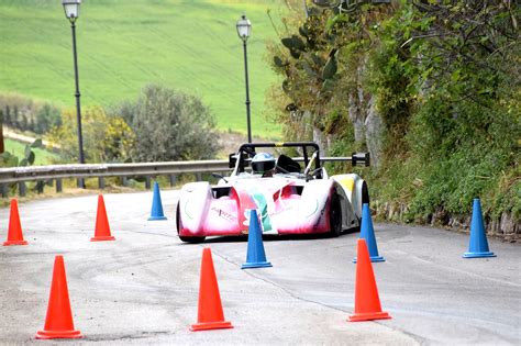 Insieme di birilli disposti trasversalmente lungo il percorso di gara di uno slalom automobilistico.
