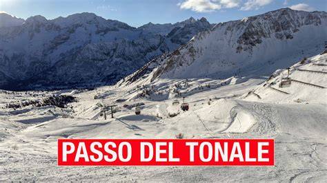 Motoslitte che attraversano un bosco innevato al Passo del Tonale
