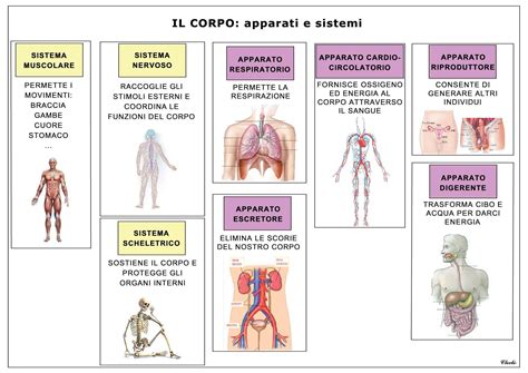 Schema comparativo dei diversi tipi di sistemi funiviari ART (MGD, BGD/TGD, ATW)